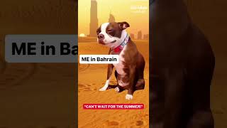 Hot Bahrain Weather!