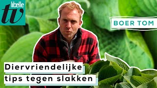 Slakken op een natuurlijke manier bestrijden - Boer Tom