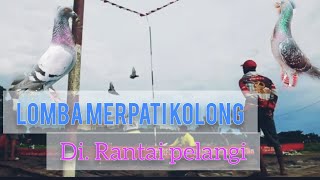 MERPATI KOLONG, di rantai pelangi. lomba burung dara  #merpatikolong #burungdara