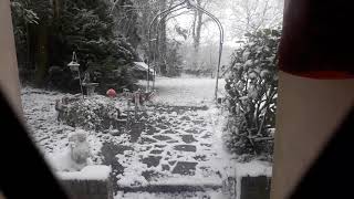 Snow 5 March 2018