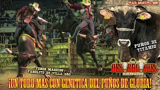 ¡SIGUE SURGIENDO LA GENÉTICA DEL PUÑOS DE GLORIA! EL PUÑOS DE T1T4N10, DESTRUCTORES EN AHUATEPEC MOR