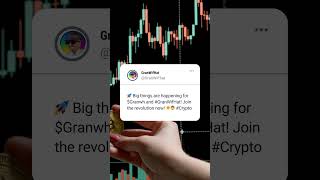 $Granwh Granwifhat Crypto Tweets 48