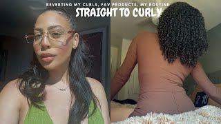 MY STRAIGHT TO CURLY HAIR TRANSFORMATION + WASH DAY ROUTINE + DOSSIER