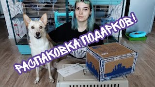 РАСПАКОВКА ПОСЫЛКИ ОТ ЗООМИР И КЛУБА КРЫС!