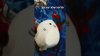 הם רצו להצטלם