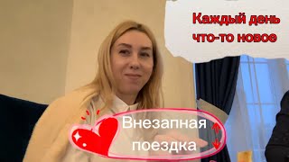 Ночуем в отеле в двоем с собакой ❤️ Обстоятельства