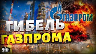 Китай облапошил Россию! Гибель Газпрома: Путин по-крупному облажался, обратный отсчет запущен