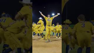 BEST HITTER ENTRANCE 🔥 #fyp #baseball #dance