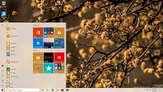 Review Windows 10 19H1 Insider Preview build 18353 Fast Ring