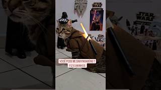 PARABÉNS PRA MIM 6 ANOS #starwars #music #darthvader #gatos #amamosgatos #cat #gatosendogato