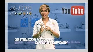 Distribución y partes que la componen - Carolina Arvelo