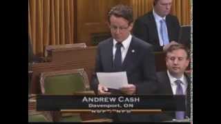 Andrew Cash's Statement in the House on Urban Workers and Unpaid Internships - June 18, 2013