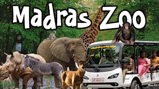 Modern Zoo 2024 India's First Zoo #vlog #tamil  #zoo #food #reels #trending #zoo #leave