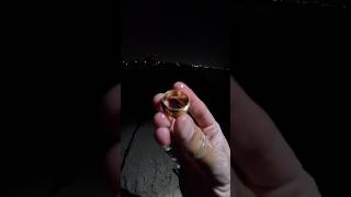 البحث باستخدام جهاز كشف المعادن MINELAB MANTICORE  ليلا وخاتم ذهب من العيار الثقيل 😱😱😱