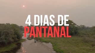 4 dias de Pantanal