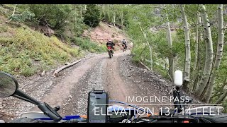 Imogene pass 2023 WR250R & XR650L