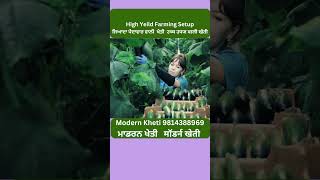 High Yeild Farming Setup | ਜਿਆਦਾ ਪੈਦਾਵਾਰ ਵਾਲੀ ਖੇਤੀ | उच्च उपज वाली खेती | Modern Kheti