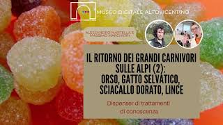 Il ritorno dei grandi predatori sulle Alpi:  Orso e Sciacallo Dorato.