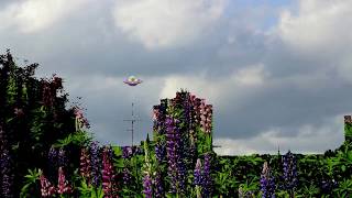 UFO über Kiel - Echt jetzt!