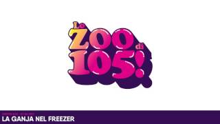 Diretta Zoo di 105 - 01/06/2017 - La ganja nel freezer (2017)