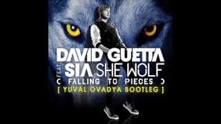 David Guetta & Sia Ft.Sandro Silva - She Wolf (Yuval Ovadya Bootleg)