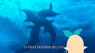 Pomu watched dolphins "tango" as a kid fairy [Nijisanji En]