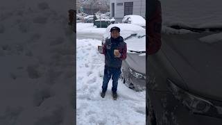 Winter Wonder Land, Swan Latte Art in Snowfall