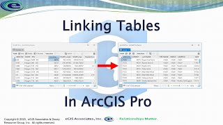 Linking Tables in ArcGIS Pro using Joins and Relates