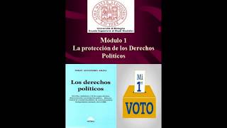 Jorge Alejandro Amaya - Los derechos políticos 4