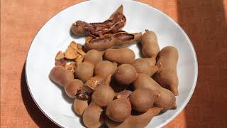 Tamarind health benefits