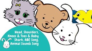 Head, Shoulders. Knees, ABCs, Animal Sounds & Baby Shark Song rolled into 15 Mins  of Pure Action