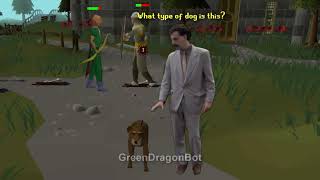 Borat plays RuneScape