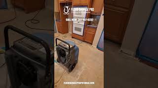 Water Damage Restoration in Potomac, MD | Flood Damage Pro