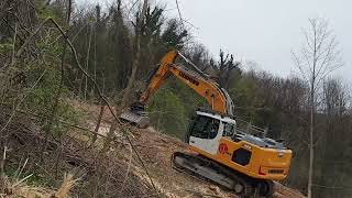 NEW LIEBHERR R922 clearing wood part 2 - San Giovanni d'Antro, Italy