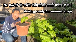 Getting ready for summer crops | Growing own food | garden update | Gardening Vlog | NepaliFamilyUK