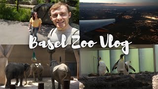 Basel Zoo Vlog