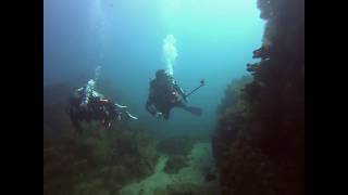 Scuba Diving in Cabo Jan 2020