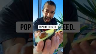 How to Upcycle an avocado pit! 🥑 creative explained