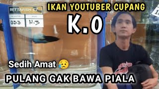 KEKALAHAN IKAN KONTES SANG YOUTUBER CUPANG || Ozie Fauzi