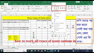 MS Excel Bangla-Part-08 |how to work all types of paste options in excel | Excel Copy Paste Tricks