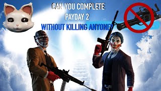 Can You Complete PAYDAY 2 Without Killing Anyone???? (Part 11)