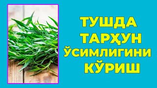 Туш табири - Тушда Тархун усимлигини куриш