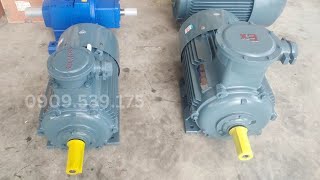 Động cơ phòng nổ 5.5kW 7.5Hp đến 75kW 100Hp  | Thanhthaimotor.com