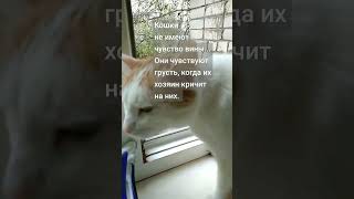 #масик #маня