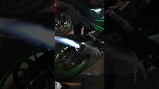 Unlimited Flames Z900😳👀 #youtube #trending #viral #superbikes #z900 #shorts #z900delivery #topspeed