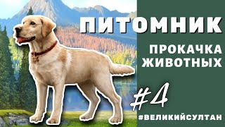 Великий Султан. ВСЕ СПОСОБЫ ПРОКАЧКИ ПИТОМЦЕВ 🐈‍⬛ ПИТОМНИК #4. Кодекс. Монеты. Эссенции и прочее