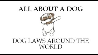 Dog Laws around the world || Facts || vyasa