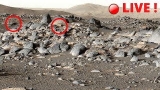 {LIVE} Tracking Mars | Sol 419 NASA's Perseverance Rover Live Video