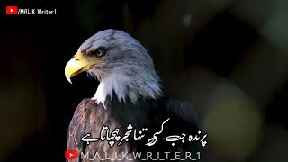 🥀 Sahib Zada Waqar Heart 🥀Touching Urdu 🥀Poetry | 🔥Sad Status 🔥Sad 🥀Poetry Status | Deep2 lines