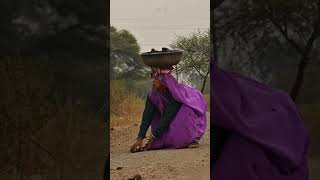 Collecting Cow Dung for fire🔥 #viral #nature #cow #india #villagelife #women #villagecooking